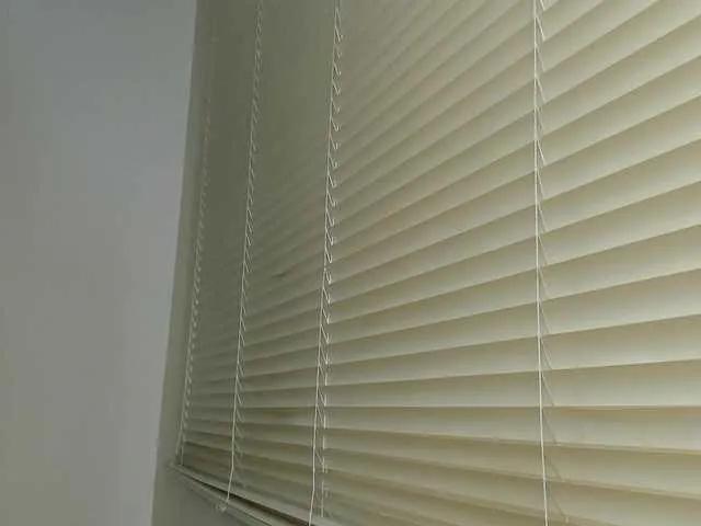 molly-rosse on BongaCams 