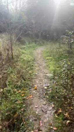 porcobg18 — #outdoor #masturbation #bigass #taboo #striptease #cum #pee