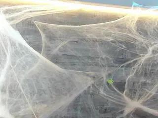 jennifer_dumont on Flirt4Free 