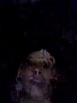 vtmbae — Freechat on StripChat